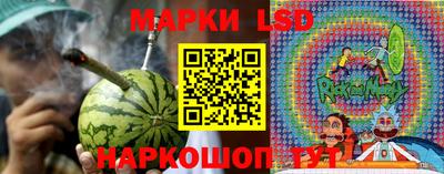 гидропоника Новодвинск