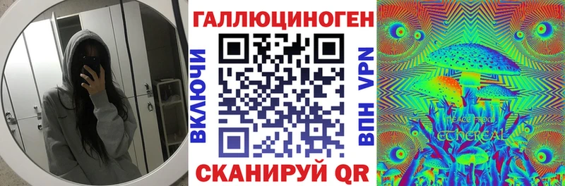 купить наркотики цена  Георгиевск  MEGA   Галлюциногенные грибы Cubensis 