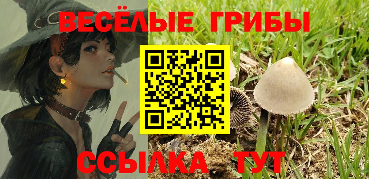 цены наркотик  Галлюциногенные грибы ЛСД  Галлюциногенные грибы ЛСД  Вход с VPN  Георгиевск 