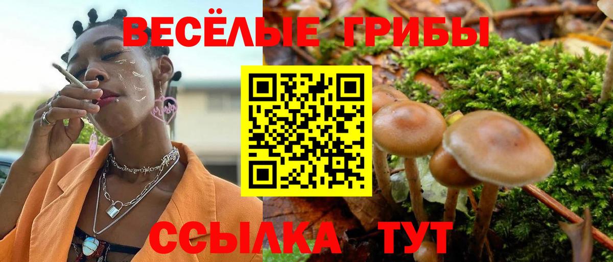 Галлюциногенные грибы мухоморы Георгиевск