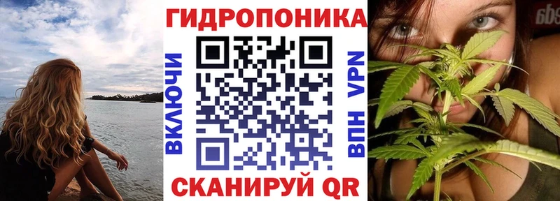 Марихуана SATIVA & INDICA  Георгиевск 